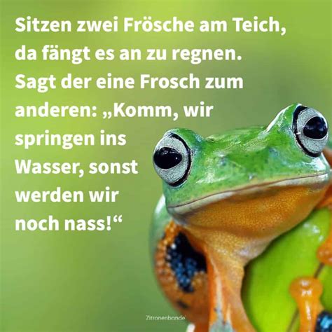 witzig lustige bilder für erwachsene|funny bilder.